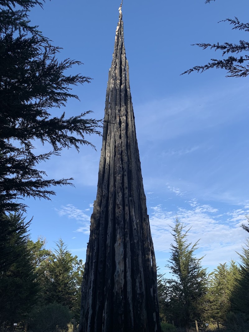 Andy Goldsworthy's Spire, San Francisco
