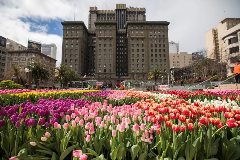 Union Square, San Francisco