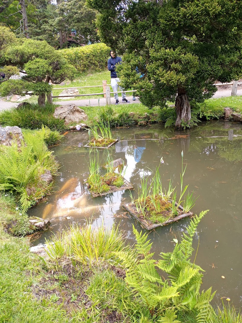 Golden Gate Park, San Francisco