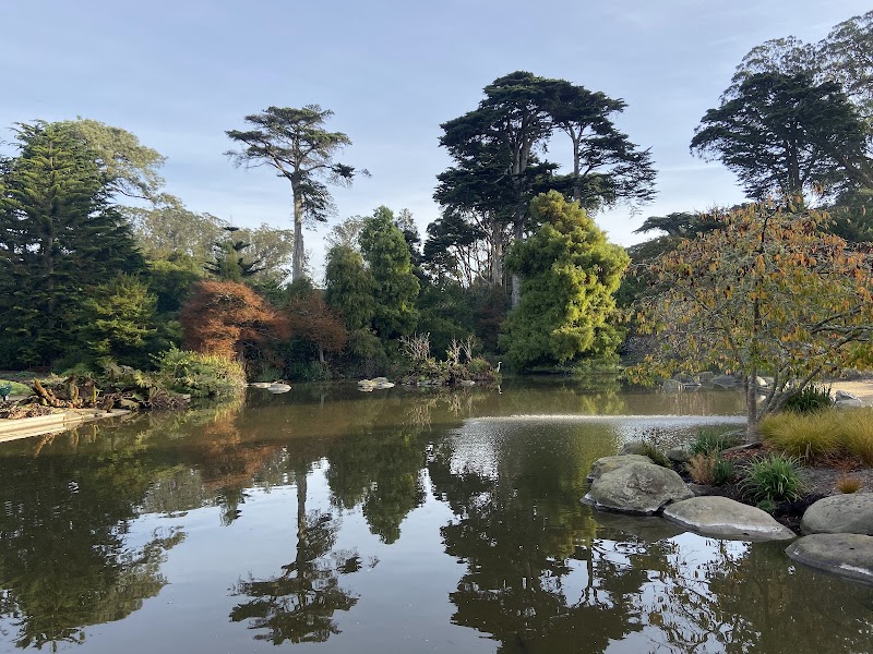 San Francisco Botanical Garden, San Francisco