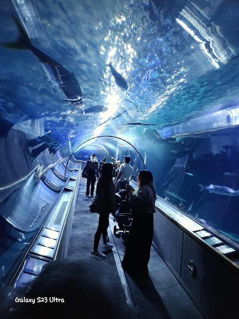 Aquarium of the Bay, San Francisco