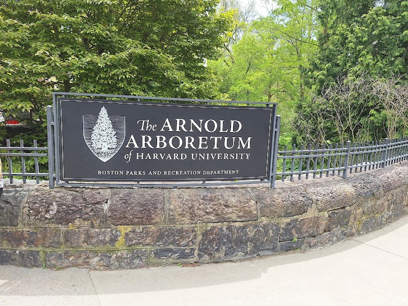Arnold Arboretum, Boston