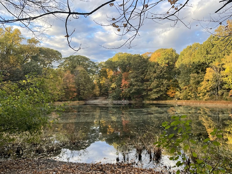 Emerald Necklace, Boston