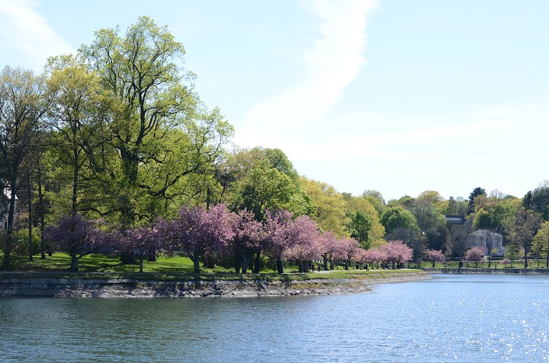 Brookline Reservoir Park, Boston