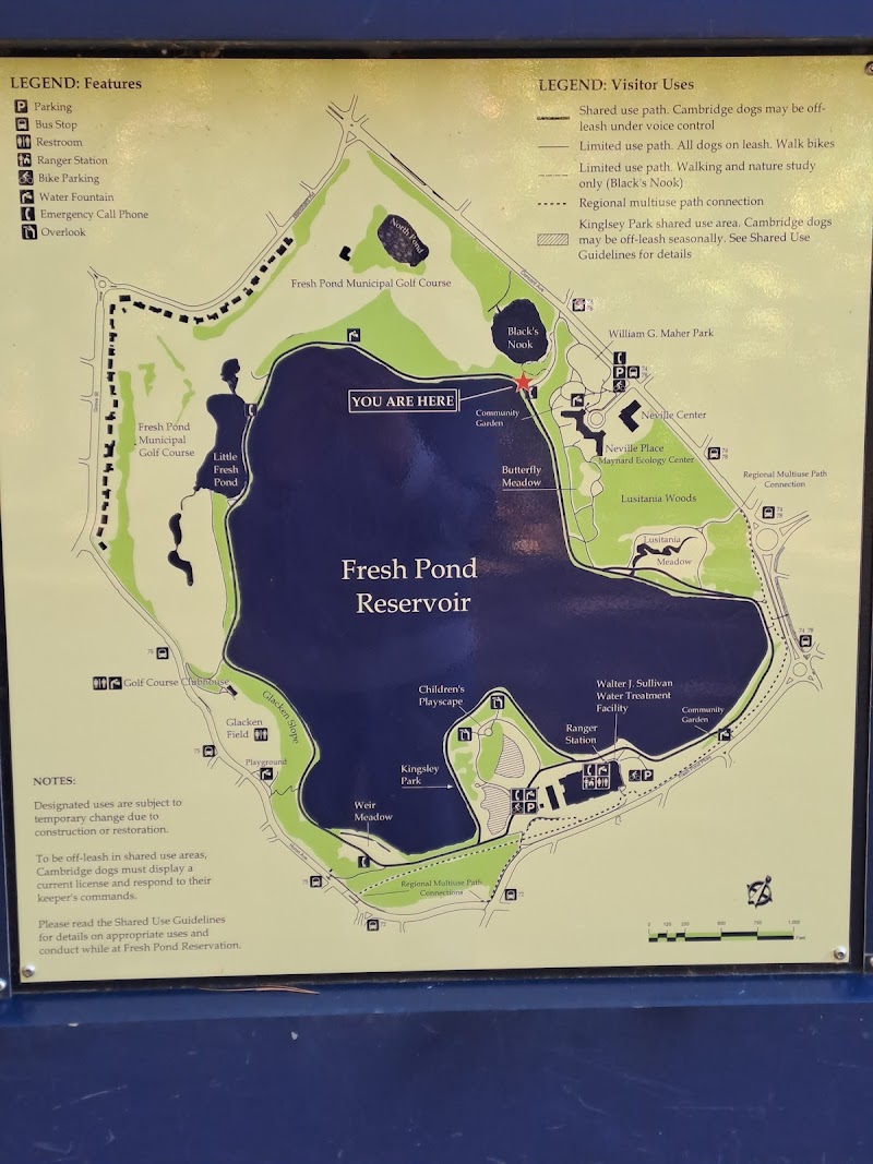 Fresh Pond Reservation, Boston