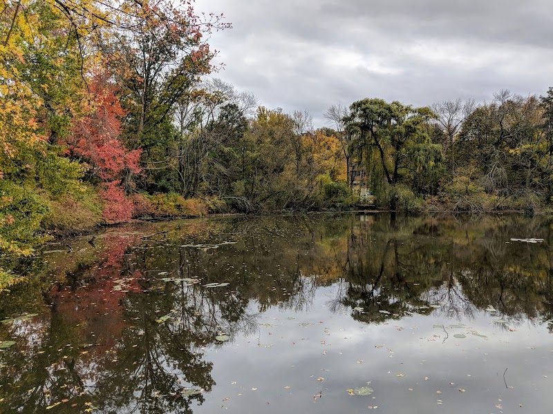 Hall's Pond Sanctuary, Boston