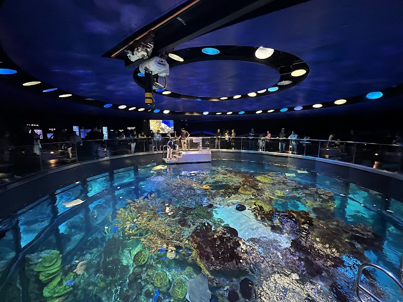 New England Aquarium, Boston
