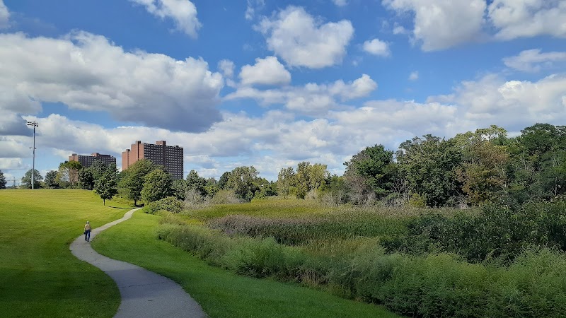 Danehy Park, Boston