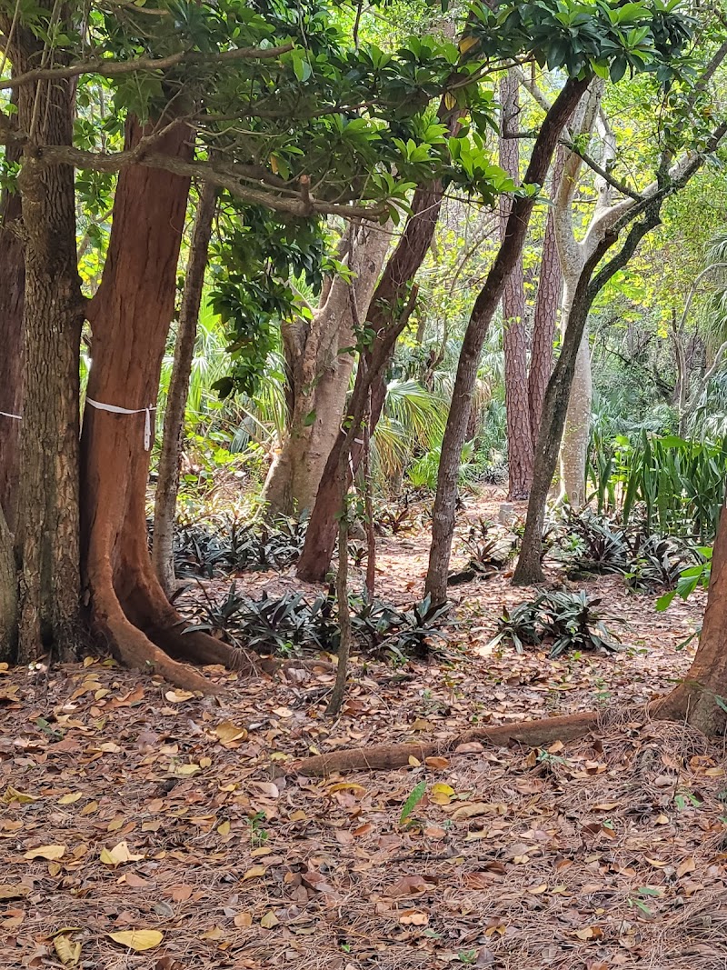 Pinewood Cemetery, Miami