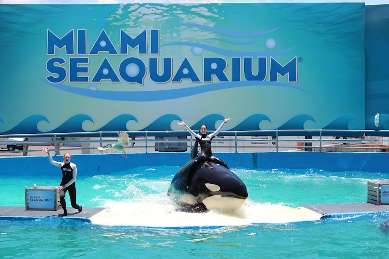 Miami Seaquarium, Miami