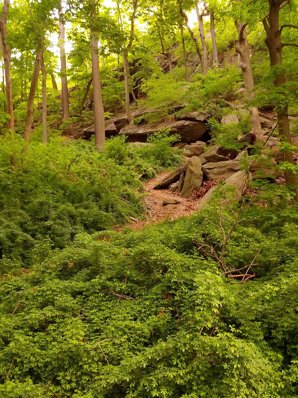 Inwood Hill Park, New York