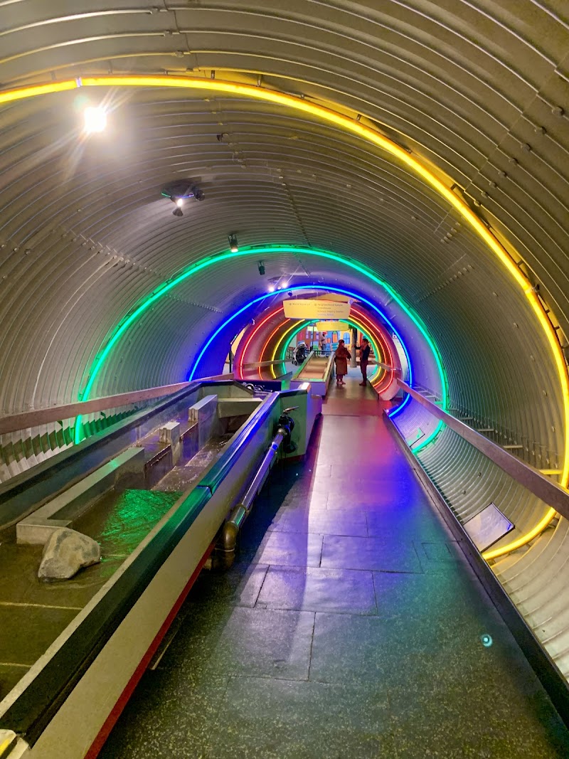 Brooklyn Children's Museum, New York