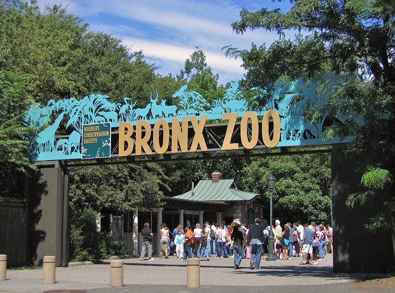 Bronx Zoo, New York