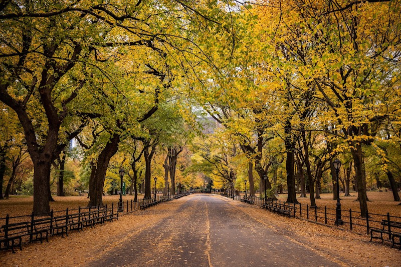 The Mall and Literary Walk, New York