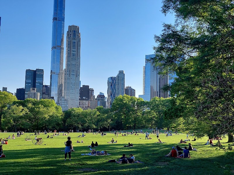 Sheep Meadow, New York