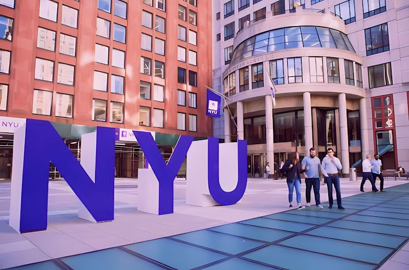 New York University, New York