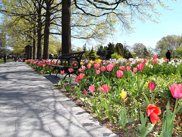 Queens Botanical Garden, New York