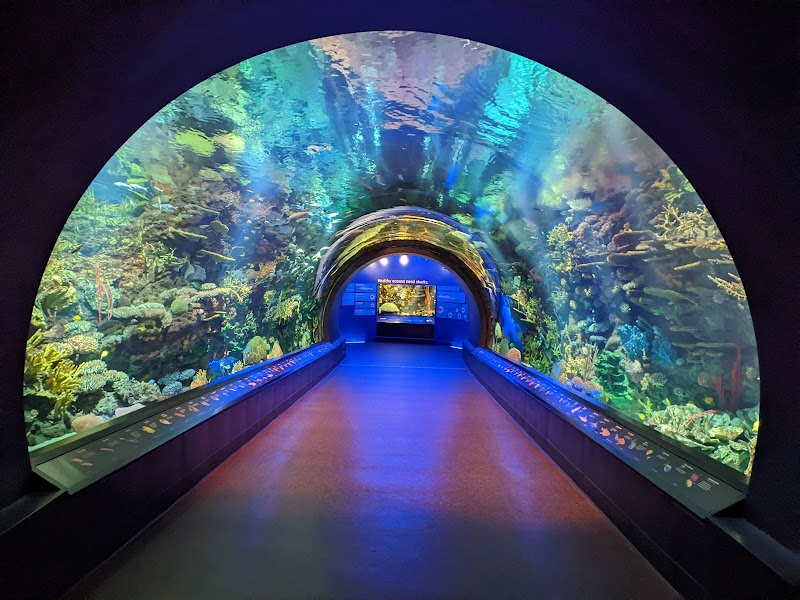 New York Aquarium, New York