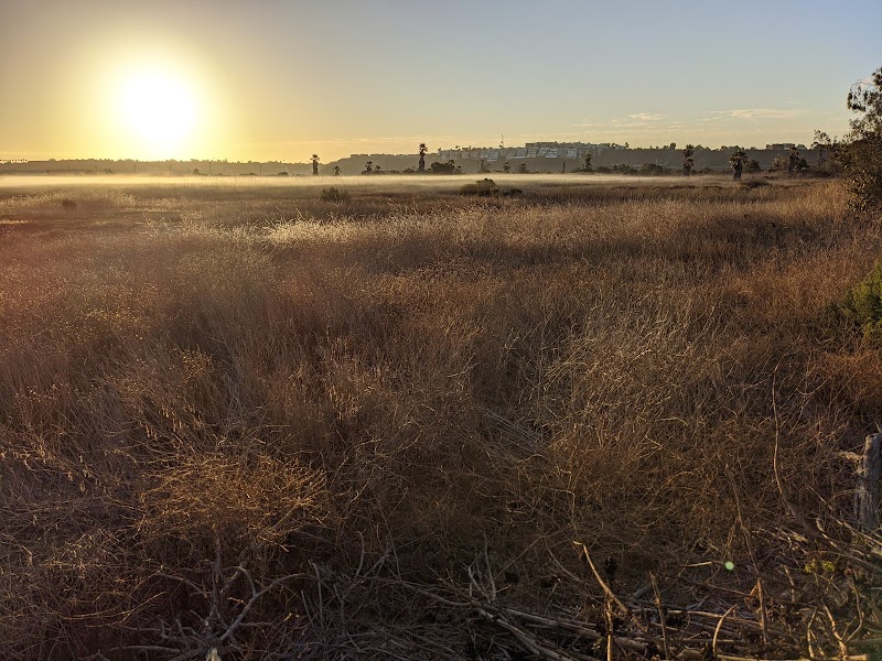 Ballona Wetlands Ecological Reserve, Los Angeles