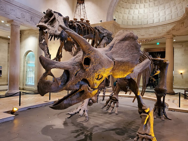 Natural History Museum of Los Angeles County, Los Angeles