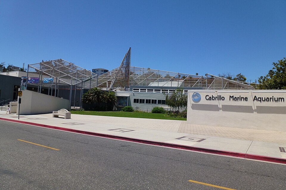 Cabrillo Marine Aquarium, Los Angeles