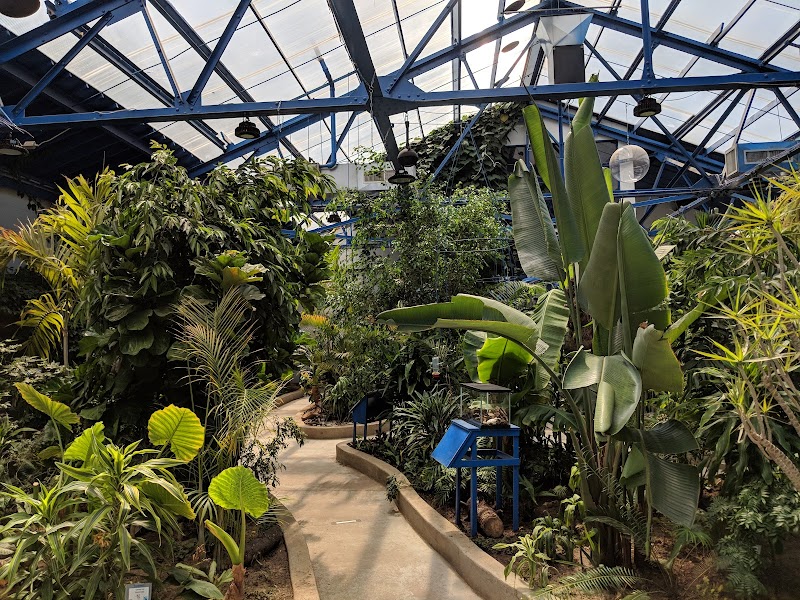 Insectarium and Butterfly Pavilion, Philadelphia
