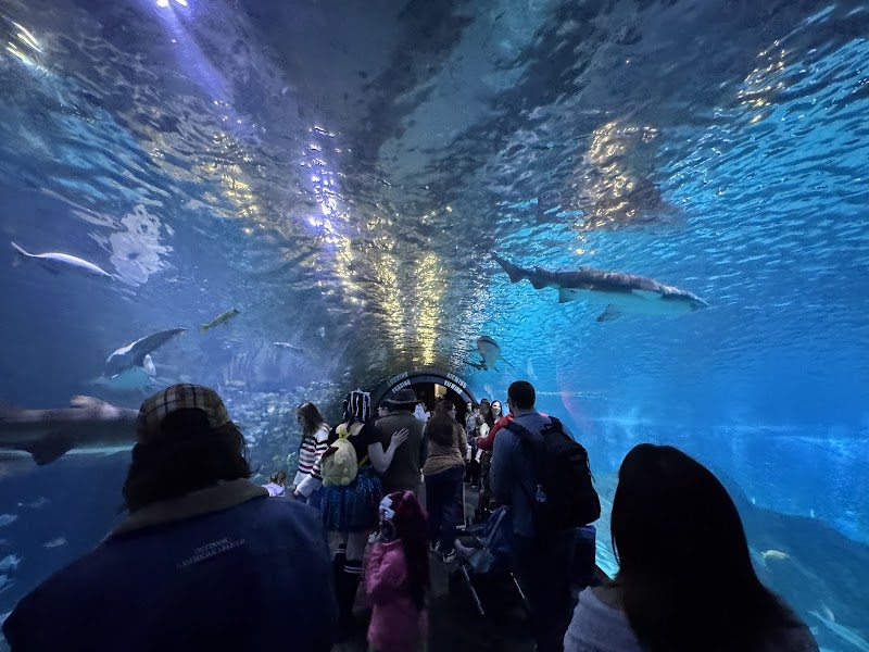 Adventure Aquarium, Philadelphia
