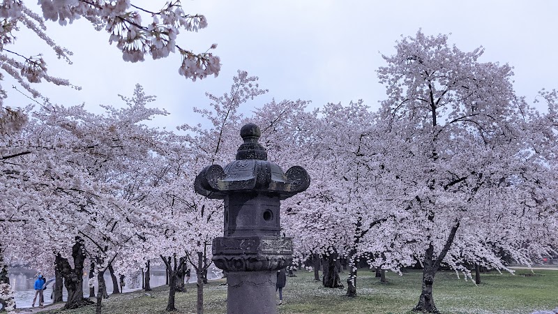 Japanese Stone Lantern, Washington D.C.