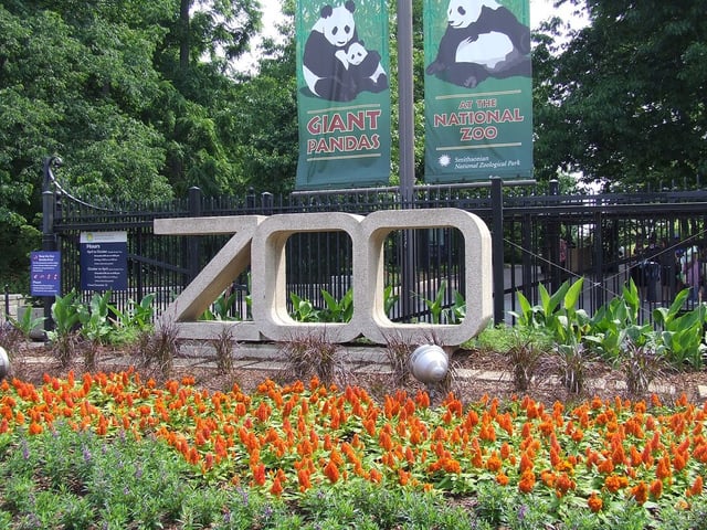 National Zoological Park, Washington D.C.