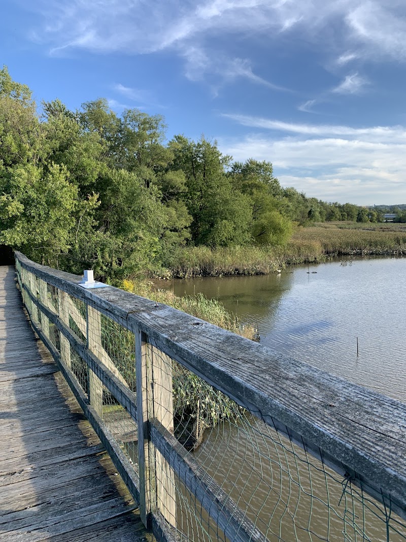Kingman Island, Washington D.C.
