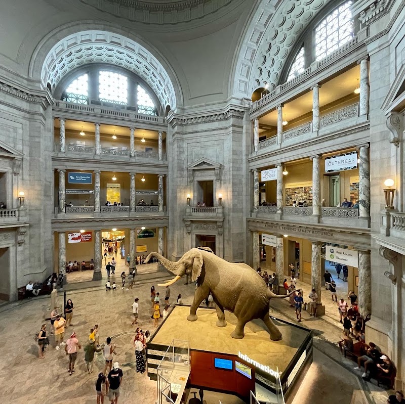 Smithsonian National Museum of Natural History, Washington D.C.