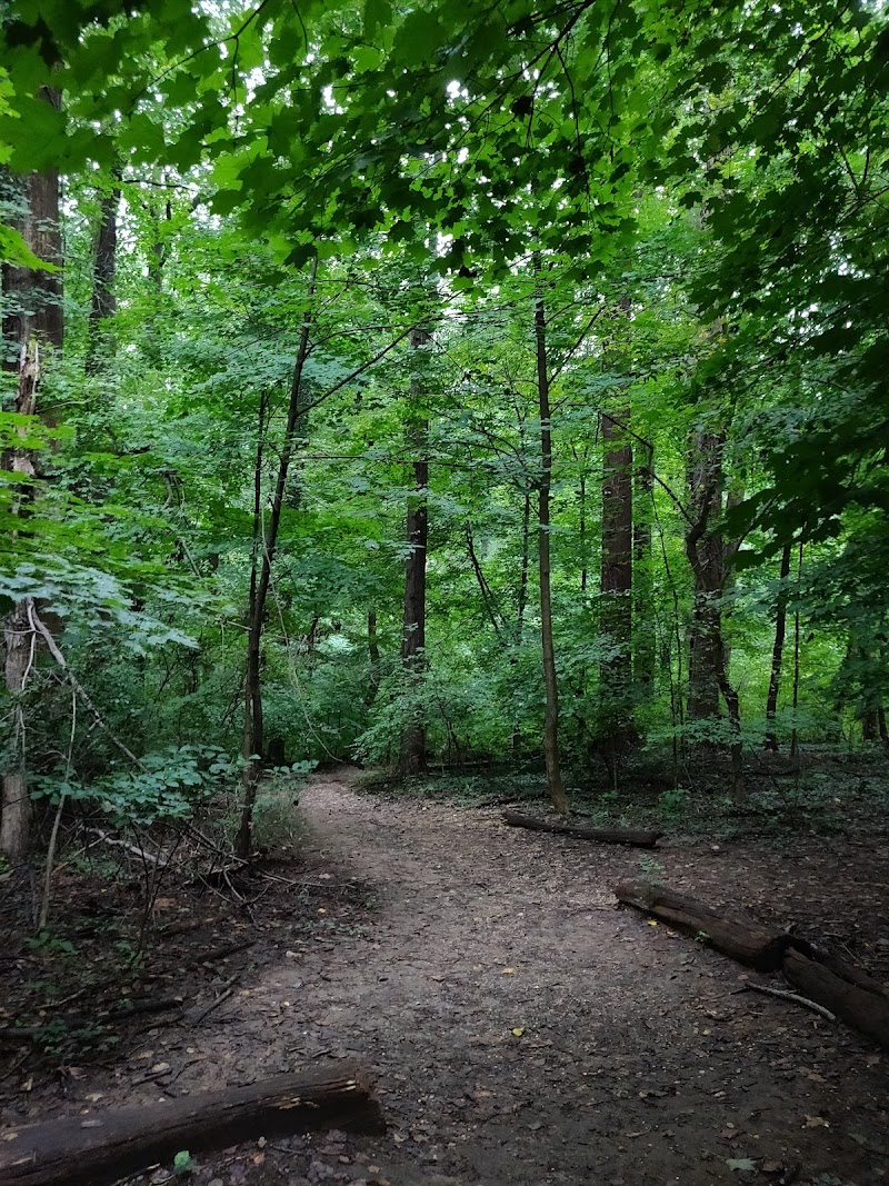 Glover Archbold Park, Washington D.C.